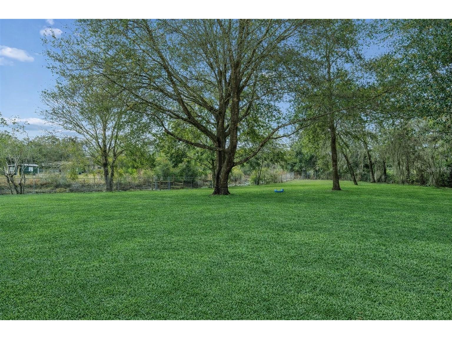 9732 Casey Drive New Port Richey FL 34654 W7882442 image36