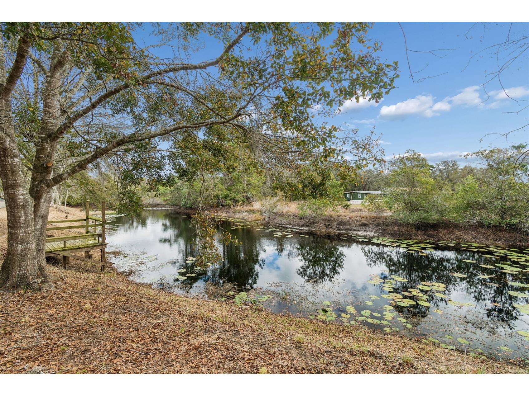 9732 Casey Drive New Port Richey FL 34654 W7882442 image38