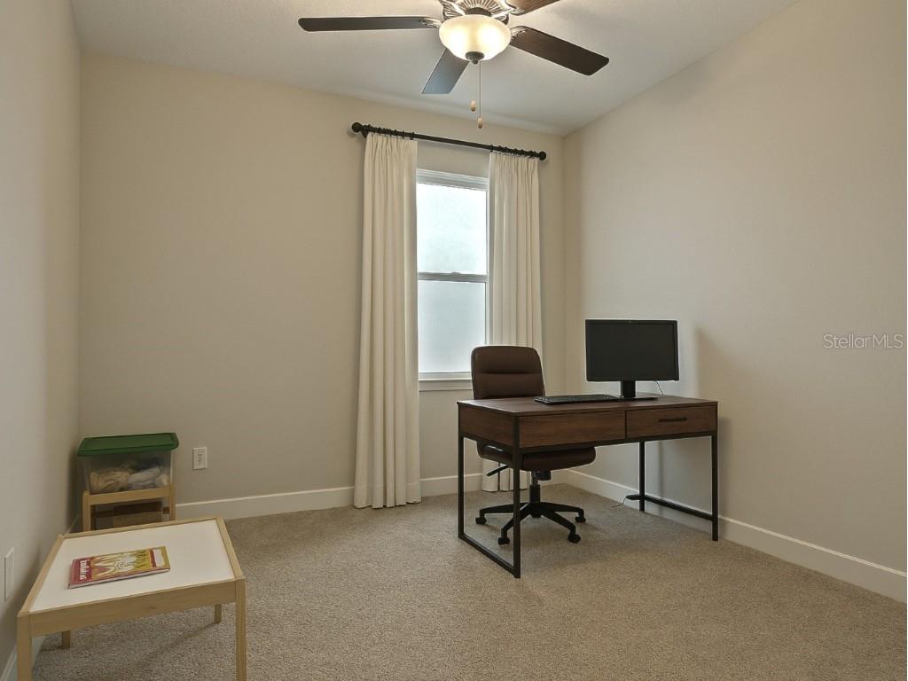 9732 Coneflower Court Land O Lakes FL 34637 TB8426781 image24