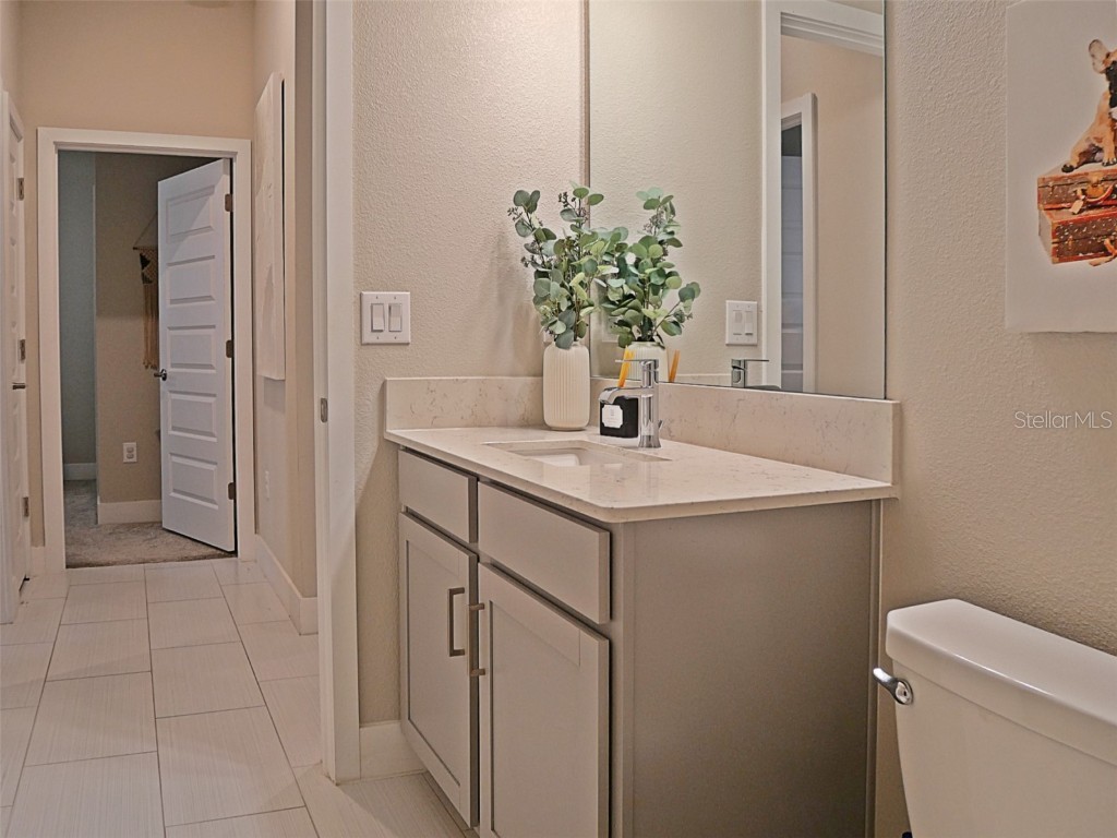 9732 Coneflower Court Land O Lakes FL 34637 TB8426781 image26