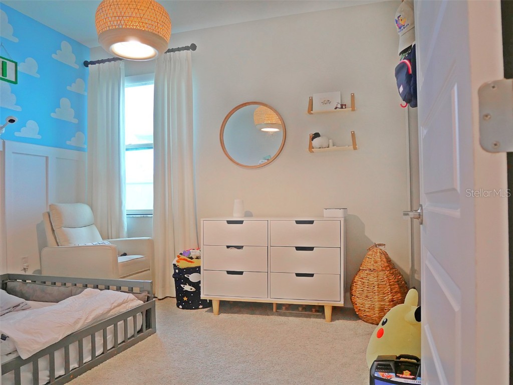 9732 Coneflower Court Land O Lakes FL 34637 TB8426781 image27