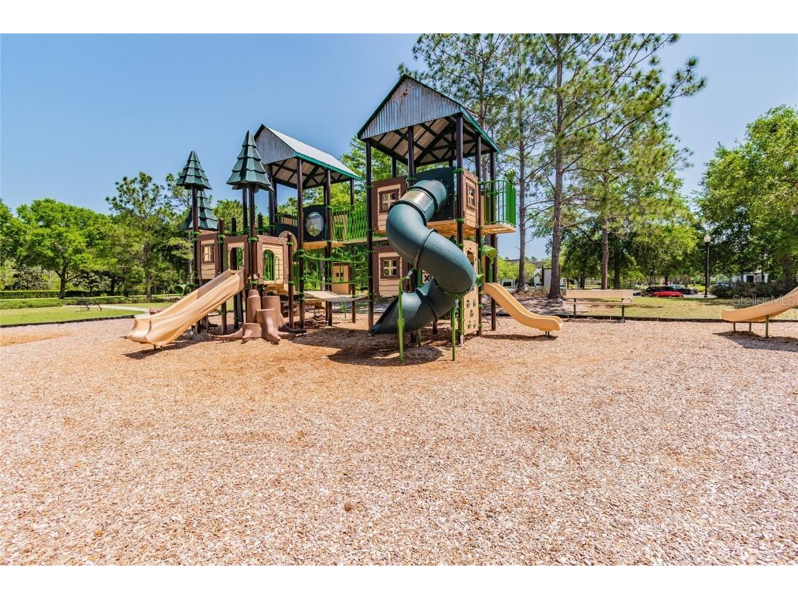 9732 Coneflower Court Land O Lakes FL 34637 TB8426781 image49