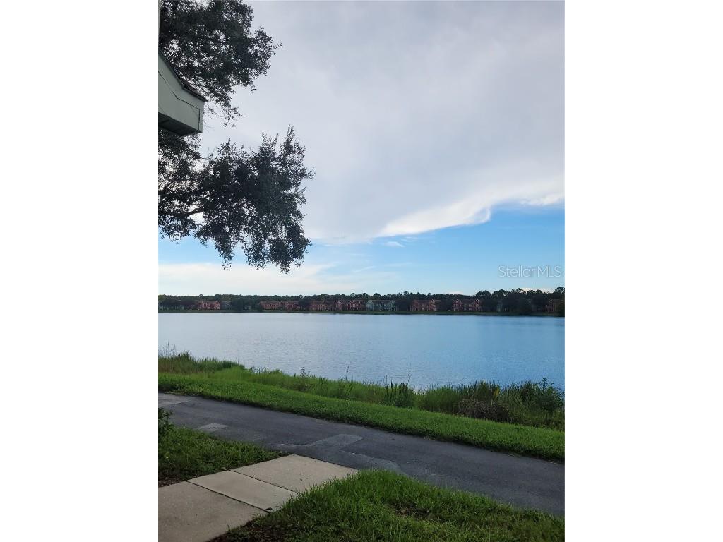 9732 Lake Chase Island Way Tampa FL 33626 TB8420213 image3