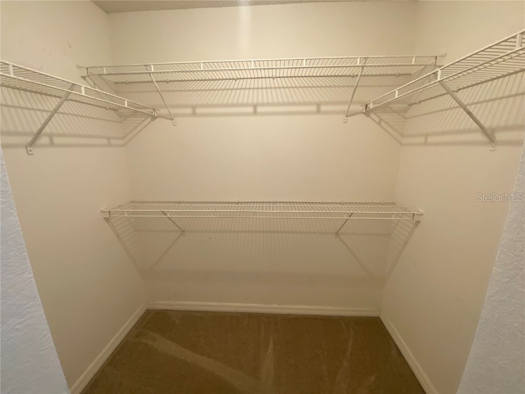 9732 Water Fern Circle Clermont FL 34711 O6336023 image17