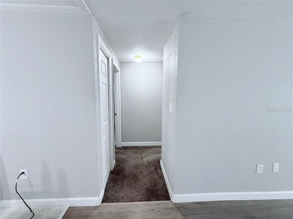 9733 Dick Street Hudson FL 34669 TB8441888 image44