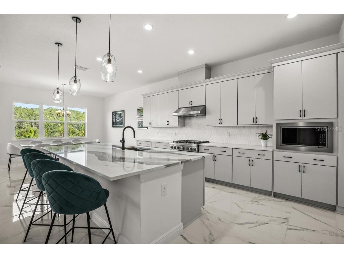 9733 Laurel Berry Drive Orlando FL 32827 O6340483 image7