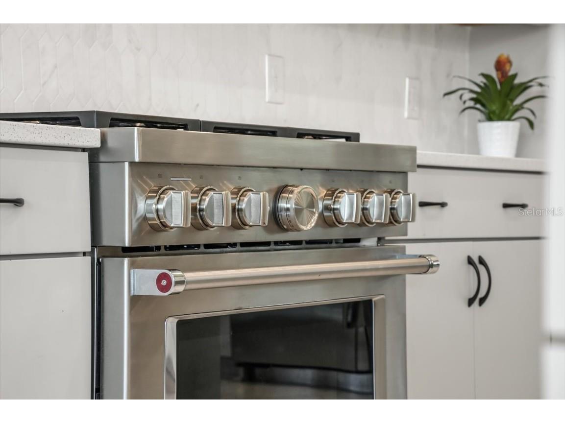 9733 Laurel Berry Drive Orlando FL 32827 O6340483 image9