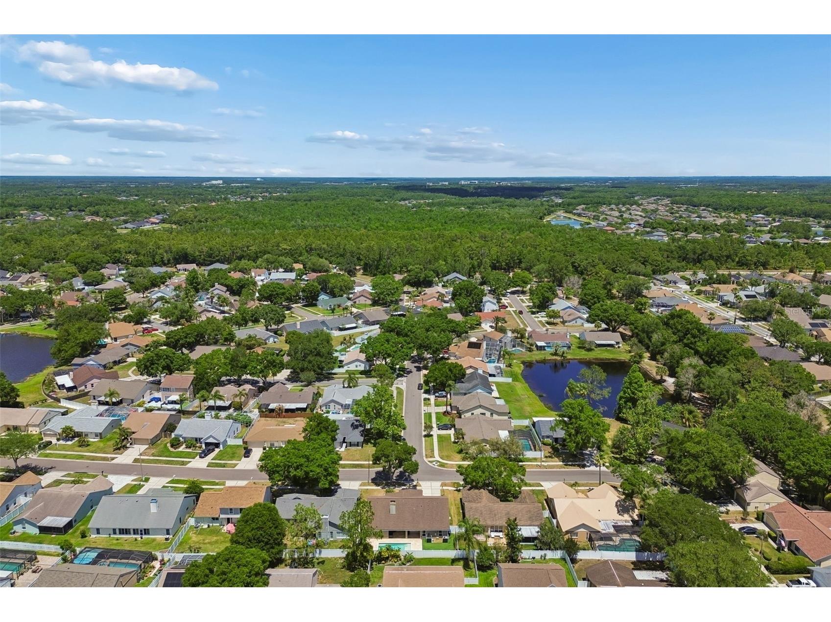 9735 Cypress Pond Avenue Tampa FL 33647 TB8500594 image21