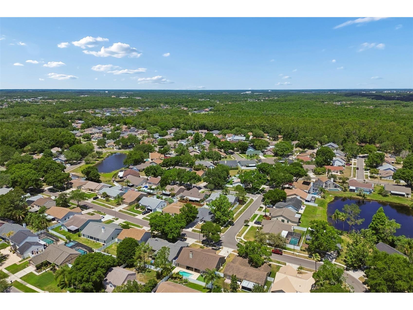 9735 Cypress Pond Avenue Tampa FL 33647 TB8500594 image72