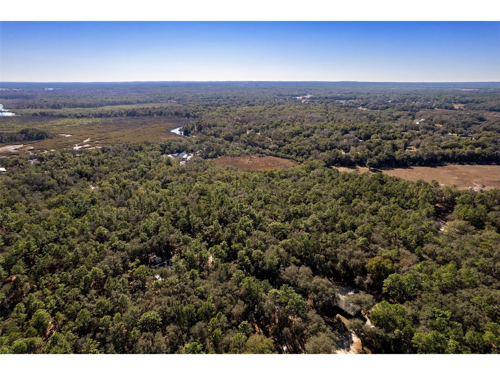 9735 Mallard Drive Inverness FL 34450 TB8466828 image7