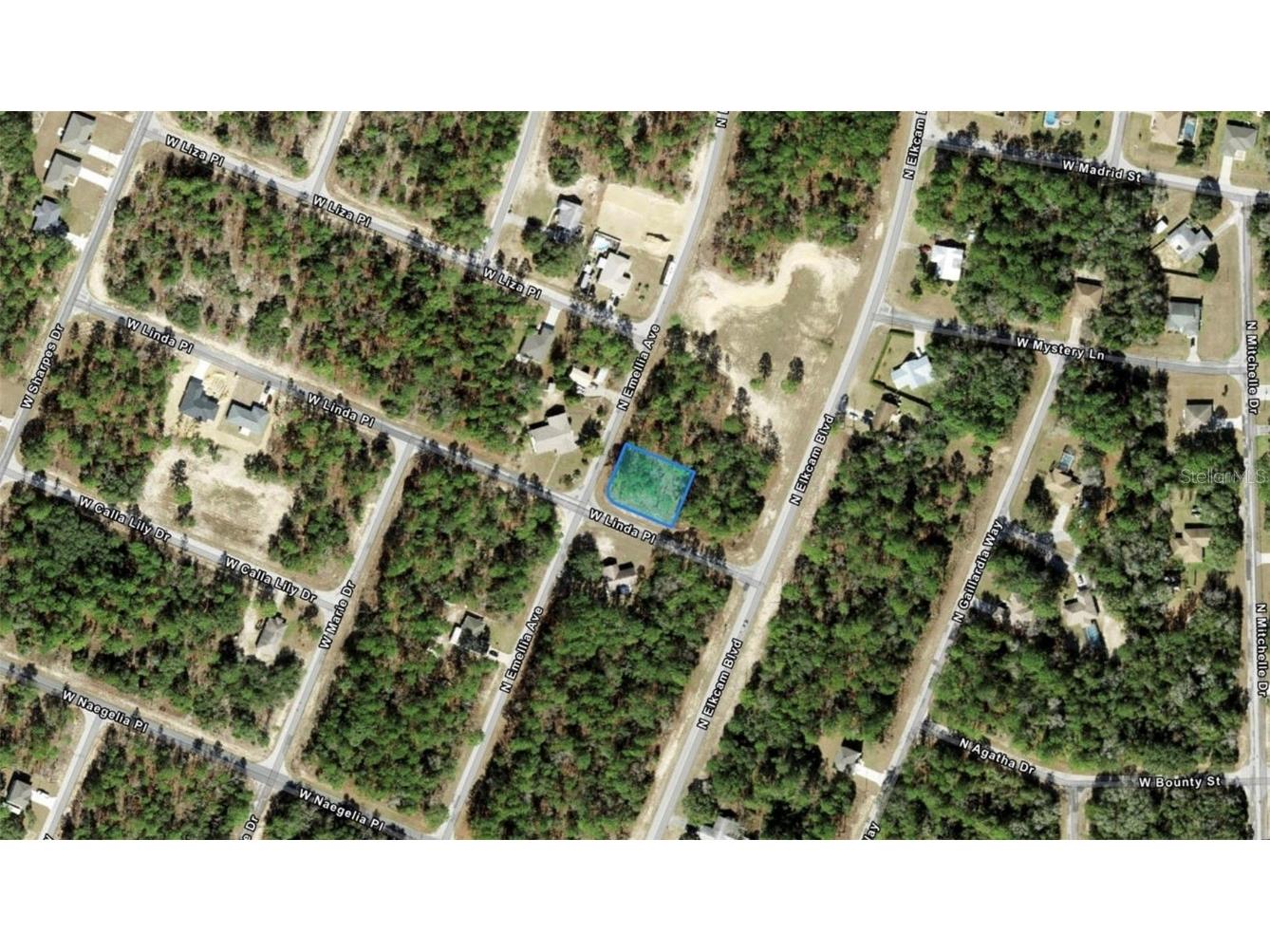 9735 N Emellia Avenue Citrus Springs FL 34434 O6282043 image1