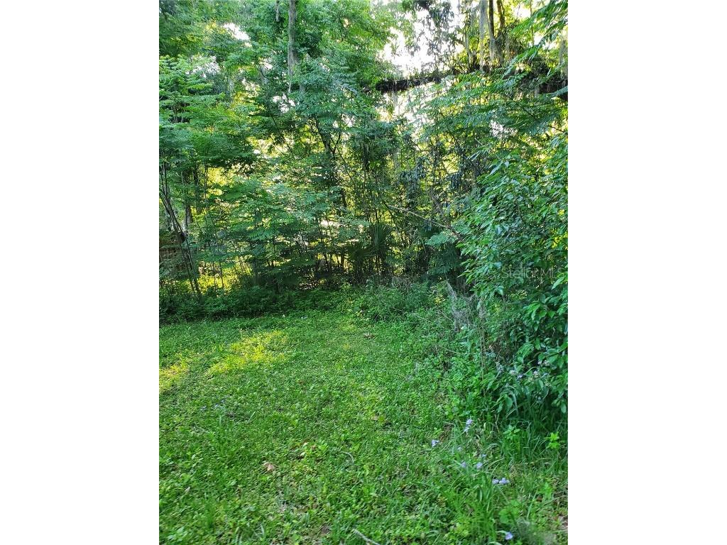 9735 SE 190th Avenue Ocklawaha FL 32179 OM678932 image1