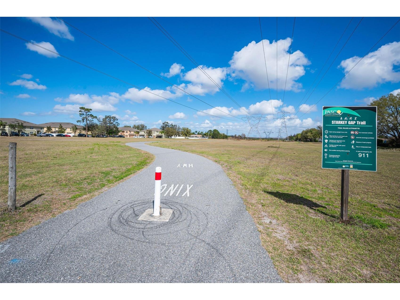 9736 Trumpet Vine Loop Trinity FL 34655 TB8482849 image28