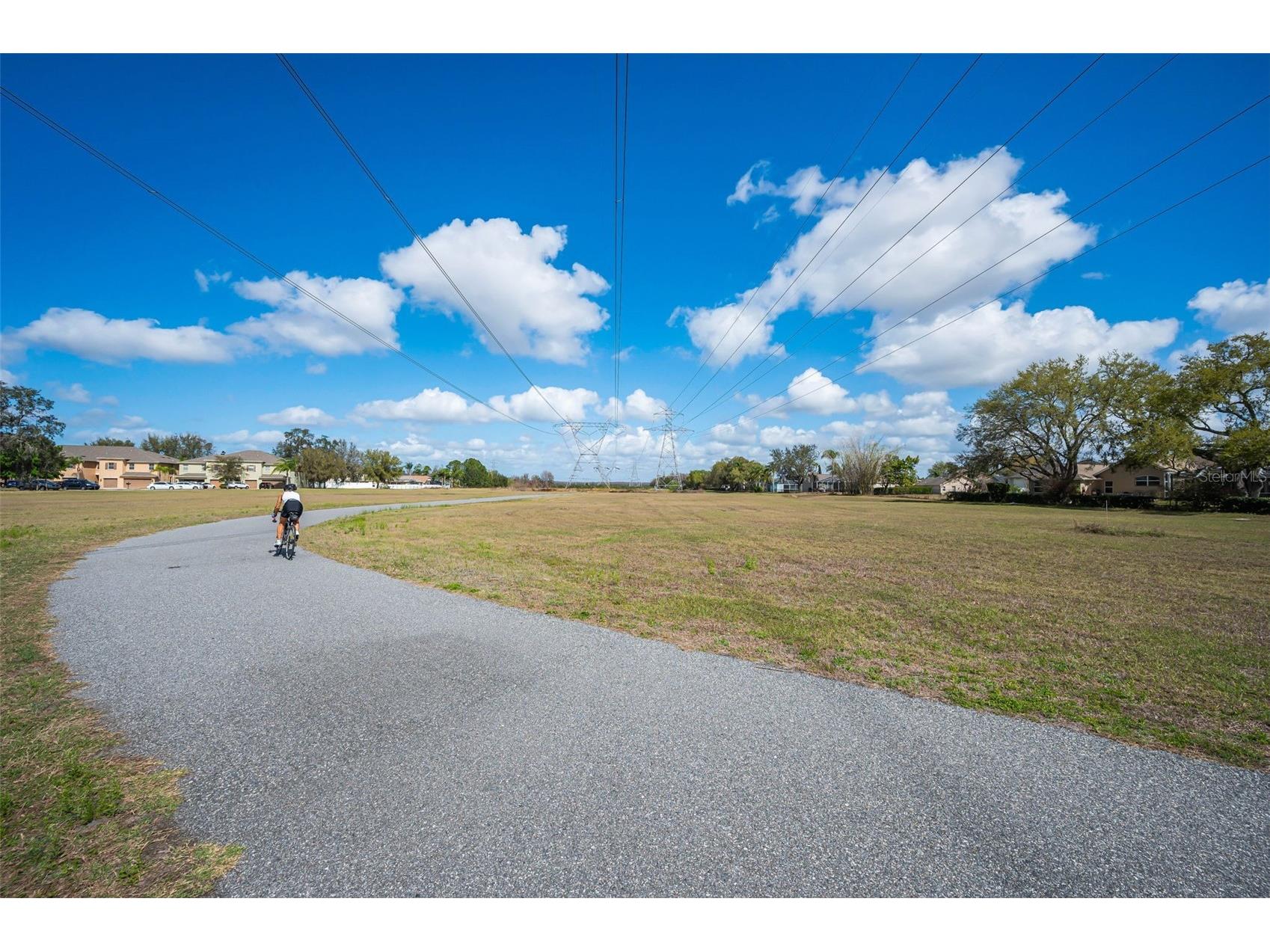 9736 Trumpet Vine Loop Trinity FL 34655 TB8482849 image30