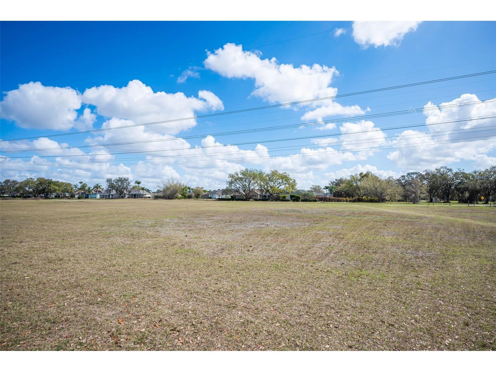 9736 Trumpet Vine Loop Trinity FL 34655 TB8482849 image31