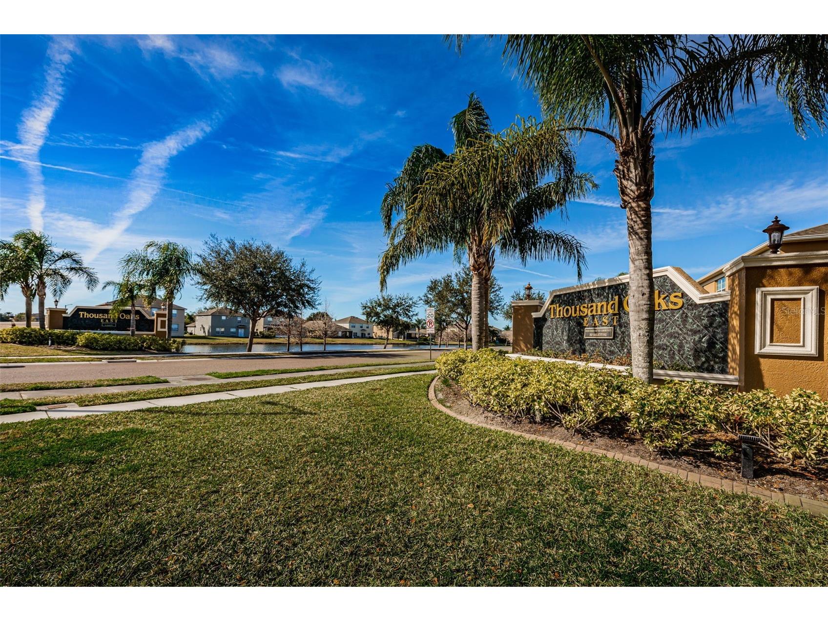 9736 Trumpet Vine Loop Trinity FL 34655 TB8482849 image33
