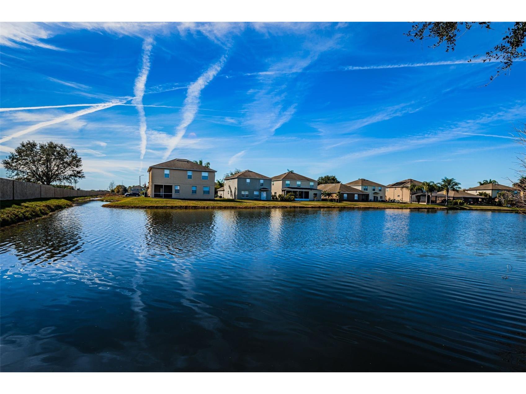 9736 Trumpet Vine Loop Trinity FL 34655 TB8482849 image34