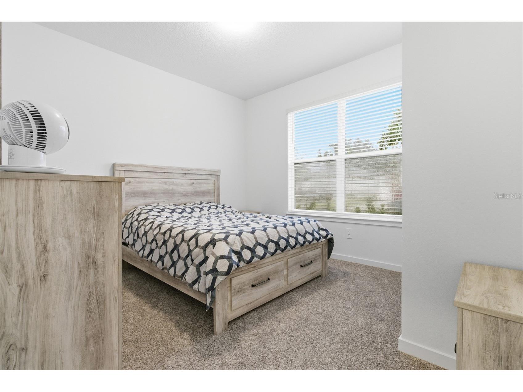 9738 Redwood Heights Loop Thonotosassa FL 33592 TB8477521 image5