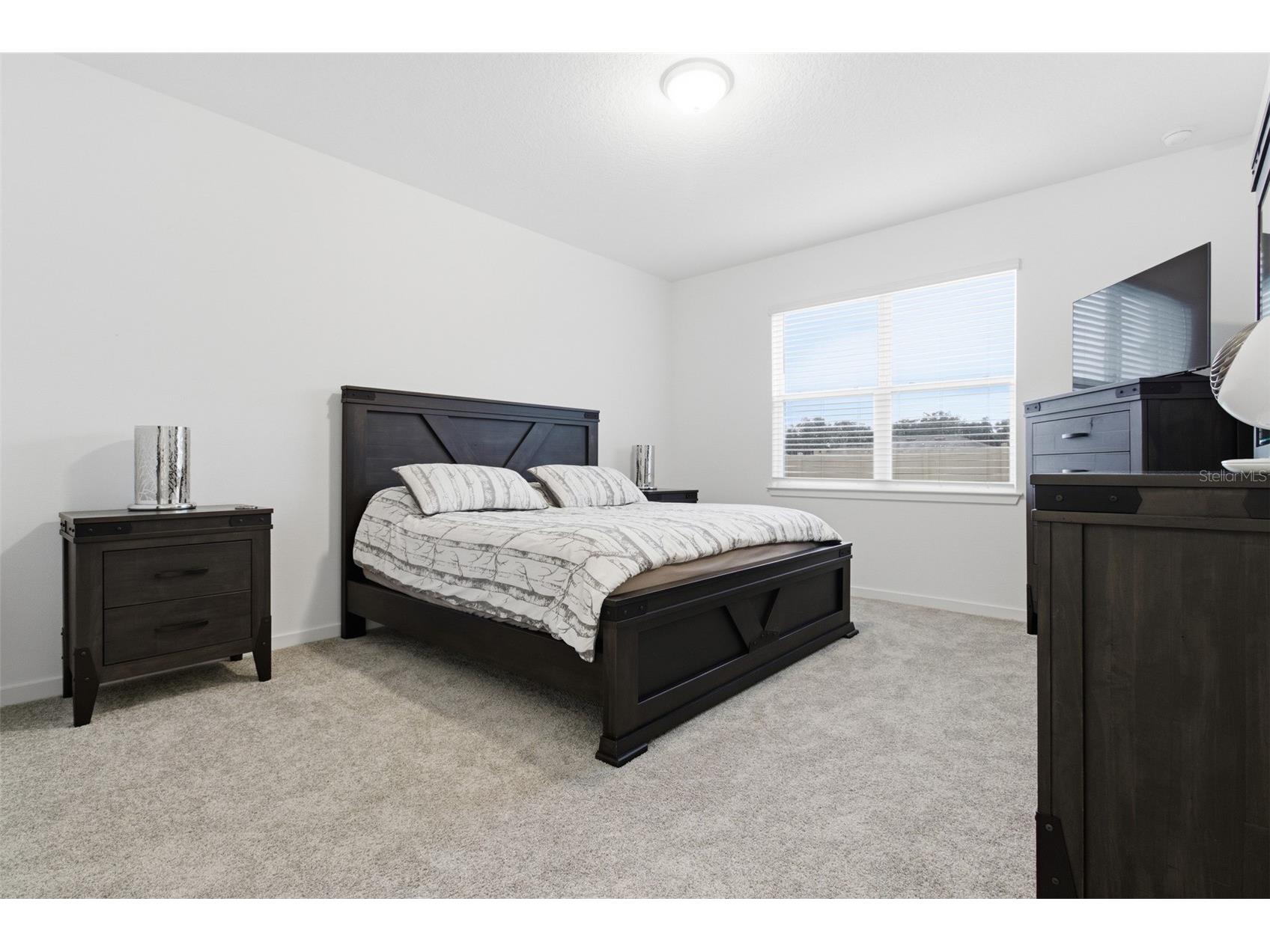 9738 Redwood Heights Loop Thonotosassa FL 33592 TB8511935 image5