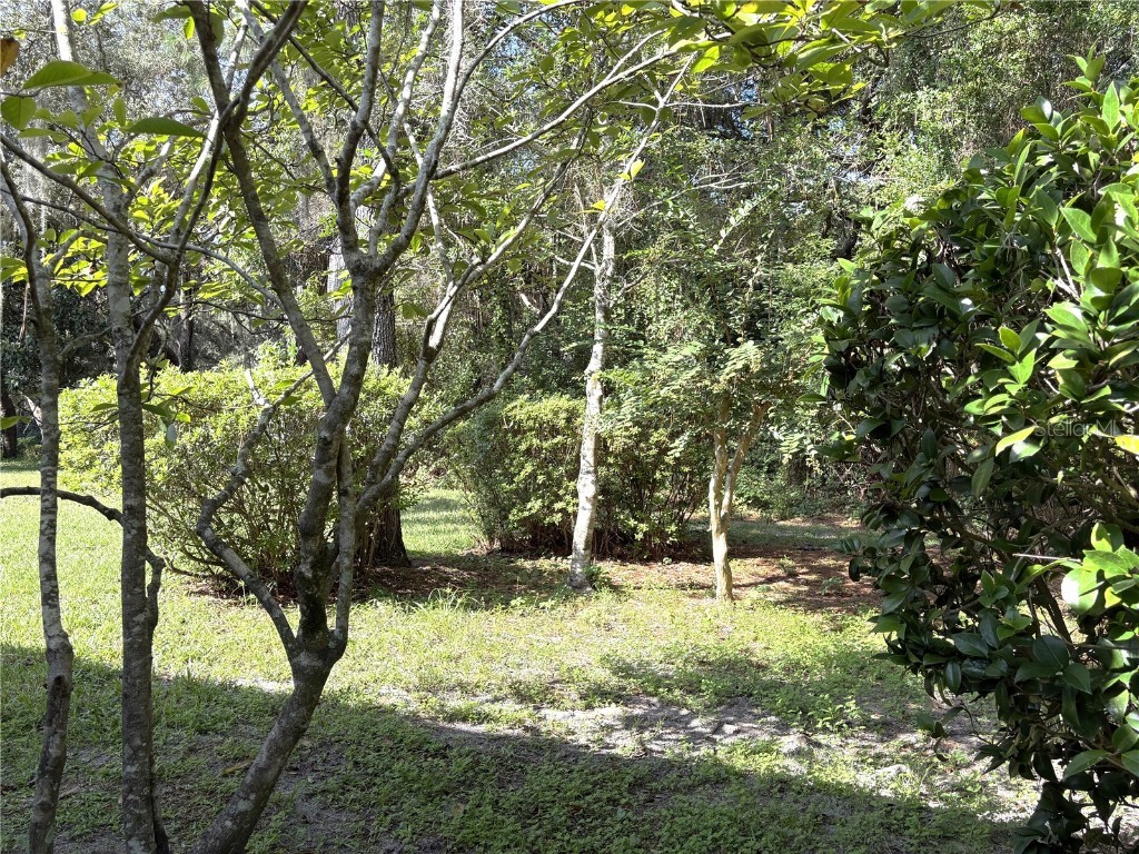 9738 SW 195th Circle Dunnellon FL 34432 - RAINBOW RIVER OM708598 image41