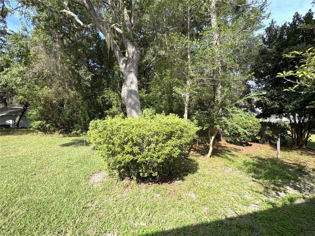 9738 SW 195th Circle Dunnellon FL 34432 - RAINBOW RIVER OM708598 image43