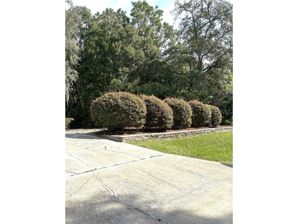 9738 SW 195th Circle Dunnellon FL 34432 - RAINBOW RIVER OM708598 image46