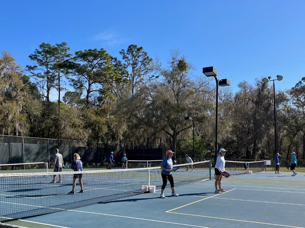 9738 SW 195th Circle Dunnellon FL 34432 - RAINBOW RIVER OM708598 image59