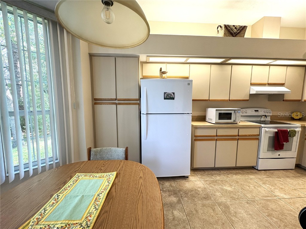 9738 SW 195th Circle Dunnellon FL 34432 - RAINBOW RIVER OM708598 image8