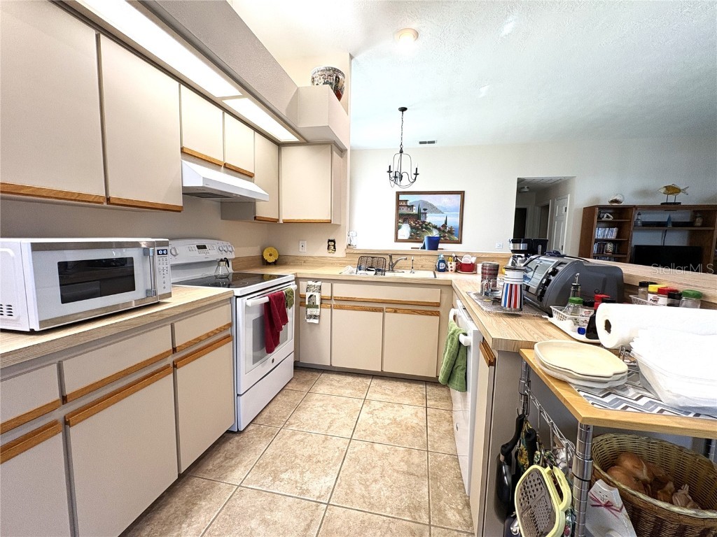 9738 SW 195th Circle Dunnellon FL 34432 - RAINBOW RIVER OM708598 image9