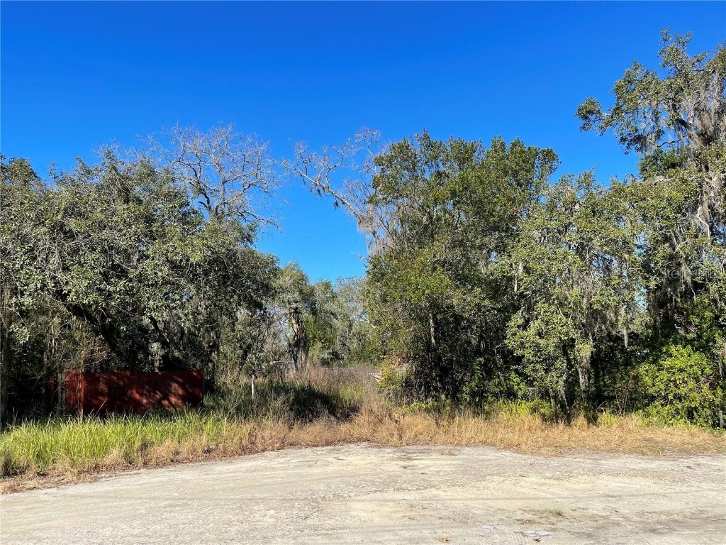 9739 Halley Court New Port Richey FL 34654 U8172810 image1