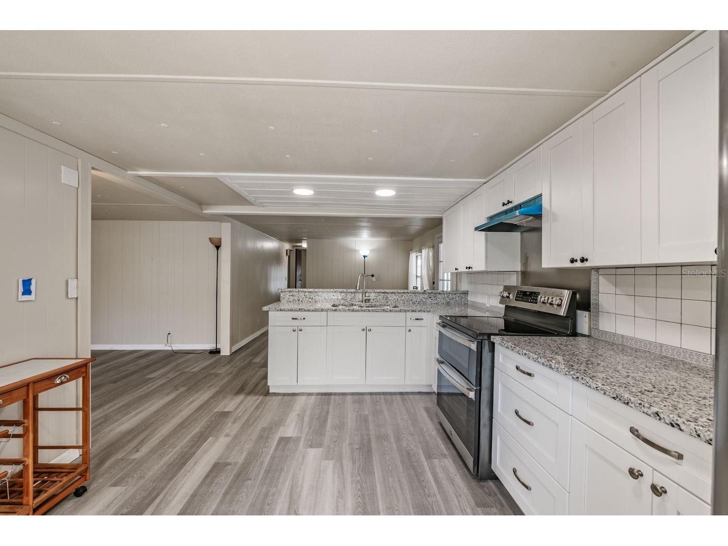9739 Ray Street Hudson FL 34669 TB8508776 image14