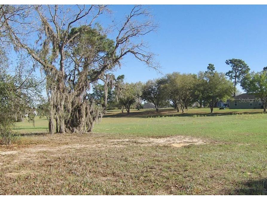 974 E Allegrie Drive Inverness FL 34453 J966849 image1