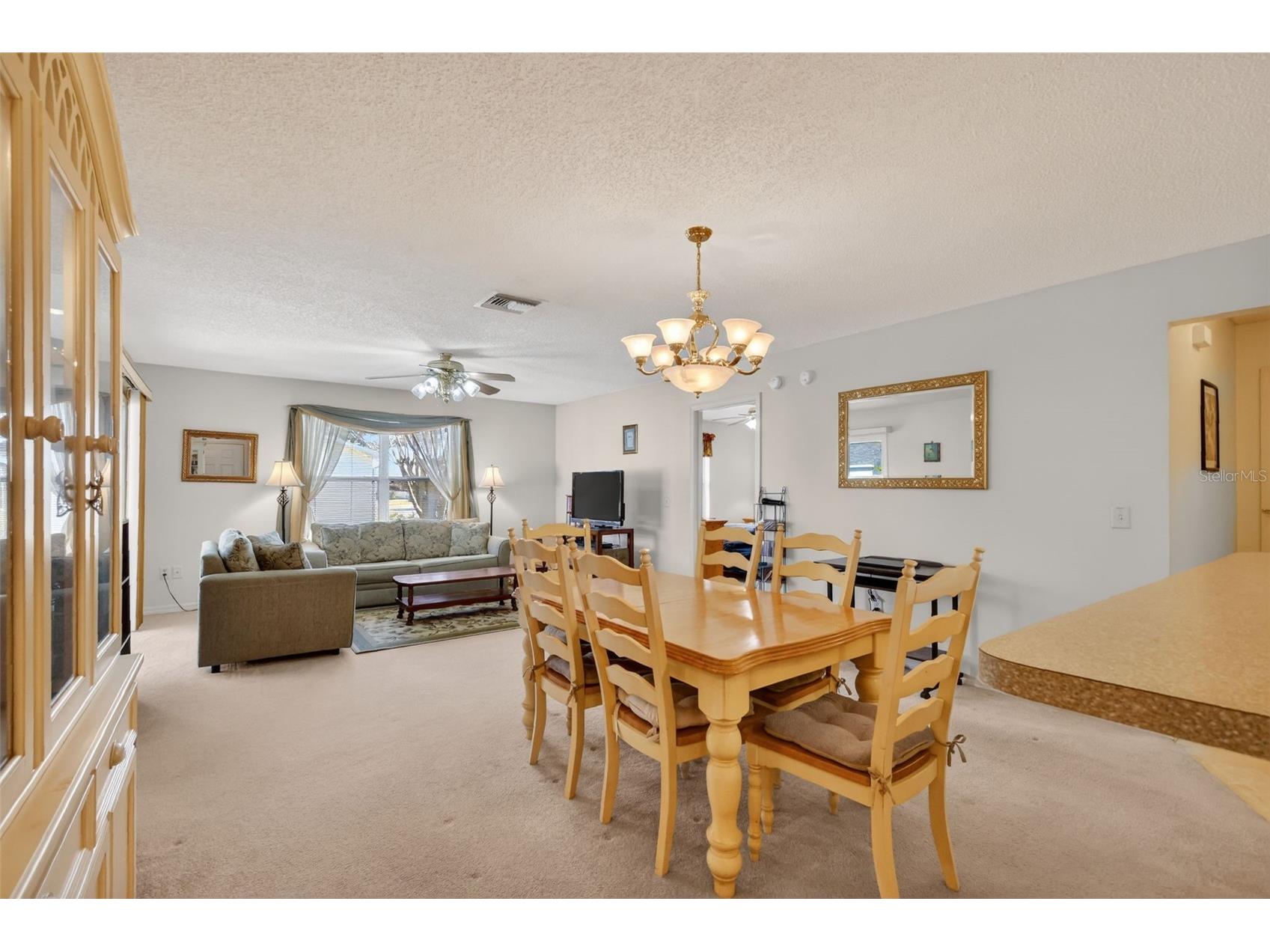 974 Livingston Loop The Villages FL 32162 G5107441 image13