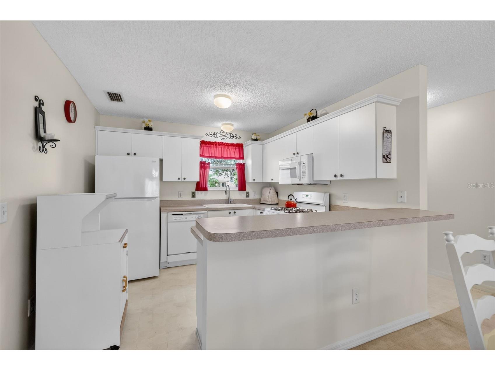 974 Livingston Loop The Villages FL 32162 G5107441 image4