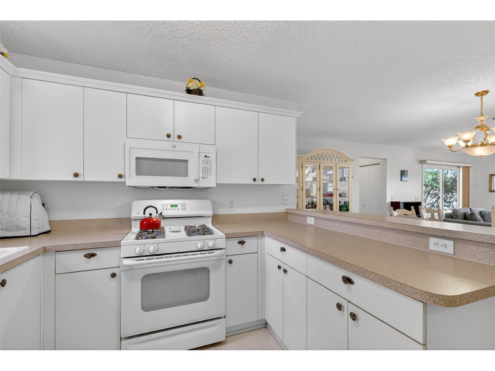 974 Livingston Loop The Villages FL 32162 G5107441 image8