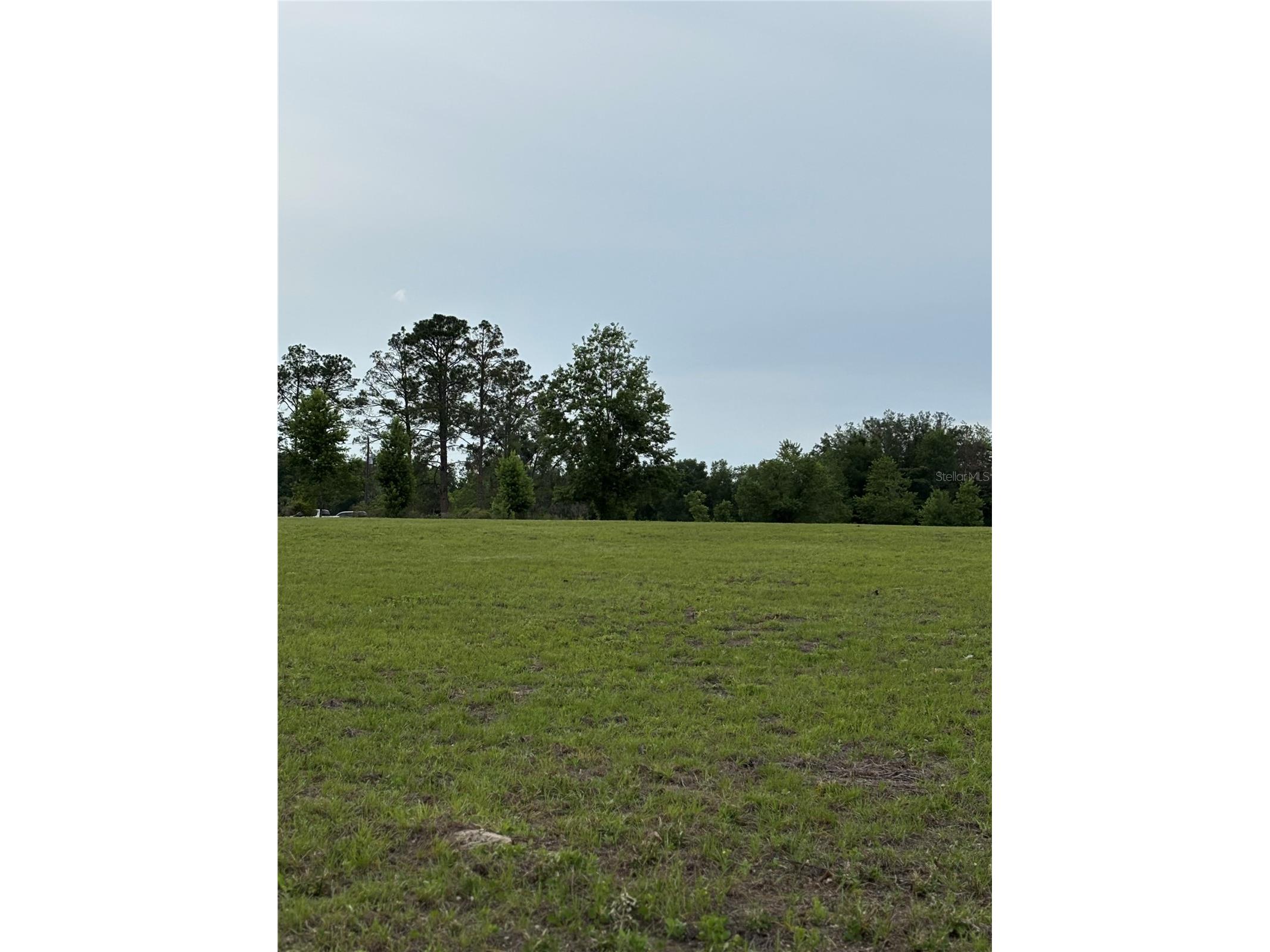 974 SW Sherlock Terrace Lake City FL 32024 S5149820 image10