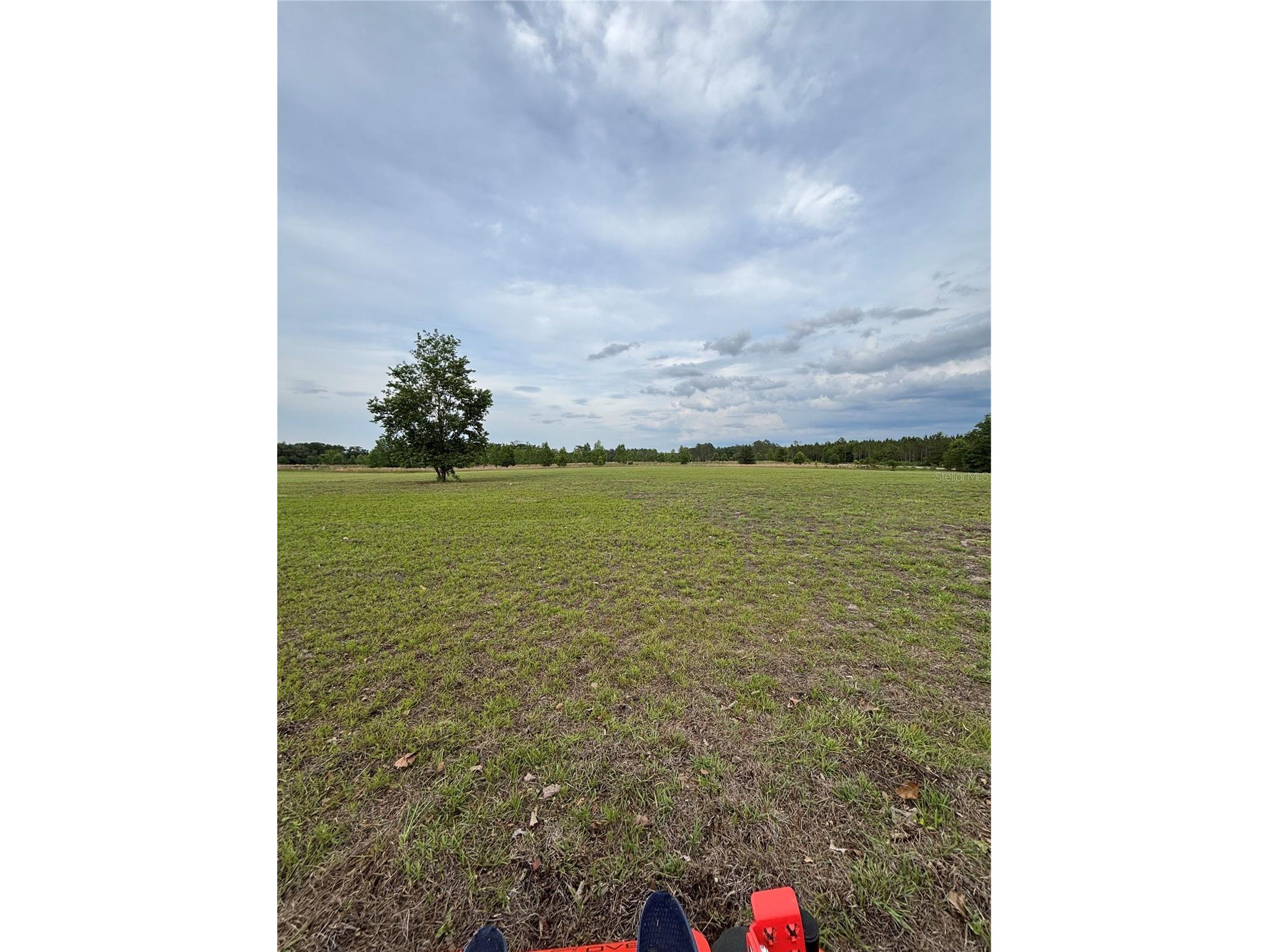 974 SW Sherlock Terrace Lake City FL 32024 S5149820 image2