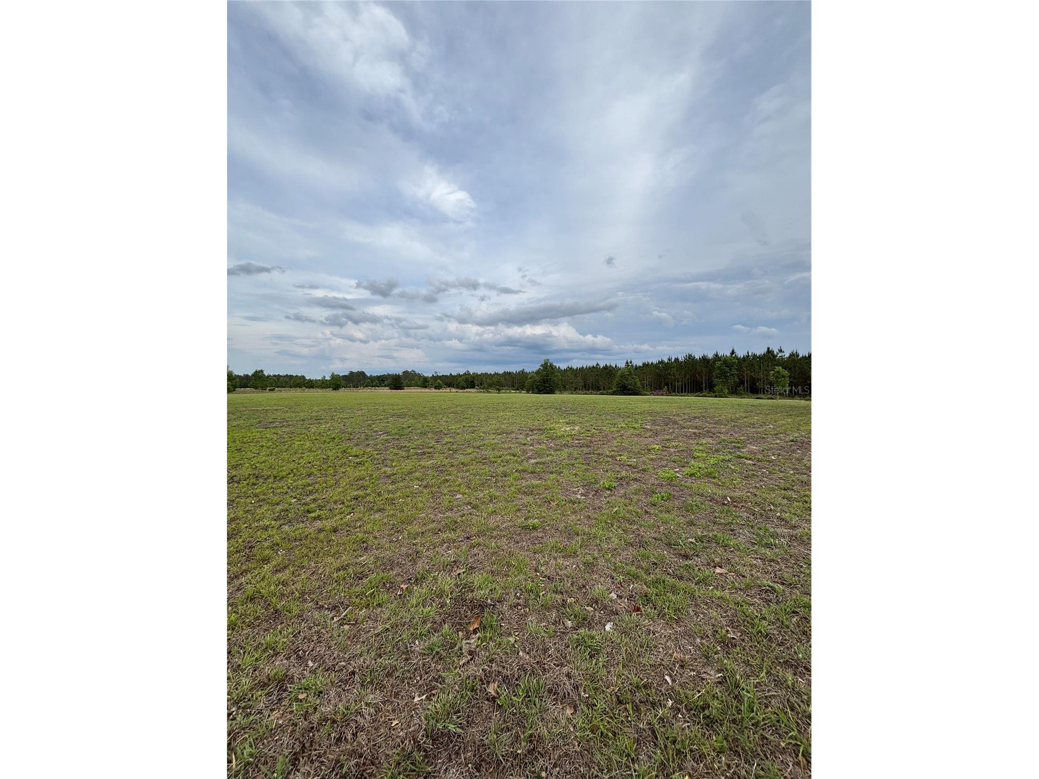 974 SW Sherlock Terrace Lake City FL 32024 S5149820 image4