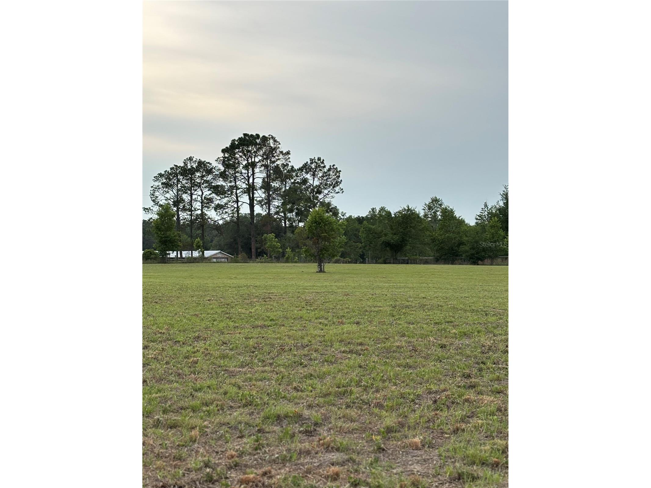 974 SW Sherlock Terrace Lake City FL 32024 S5149820 image6