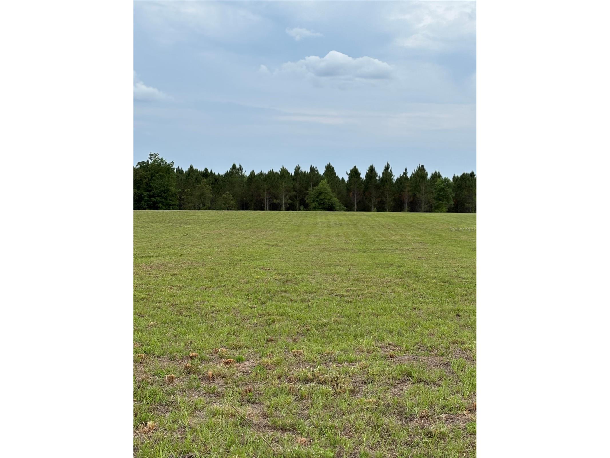974 SW Sherlock Terrace Lake City FL 32024 S5149820 image8