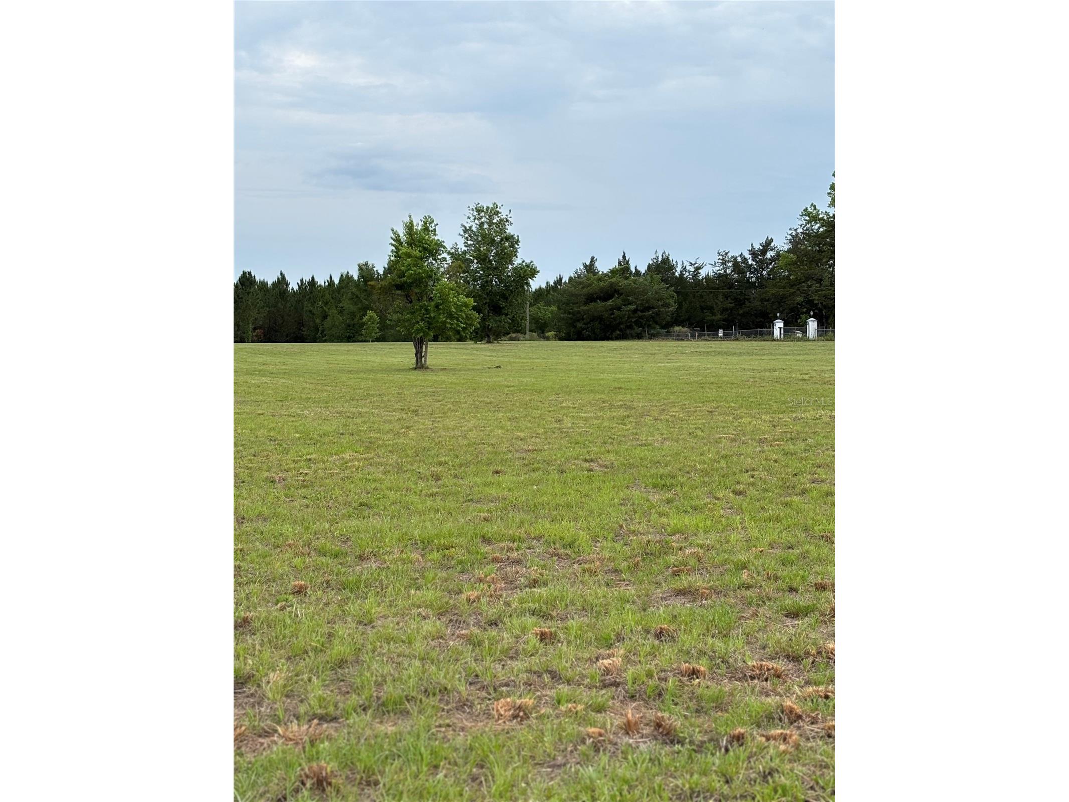 974 SW Sherlock Terrace Lake City FL 32024 S5149820 image9