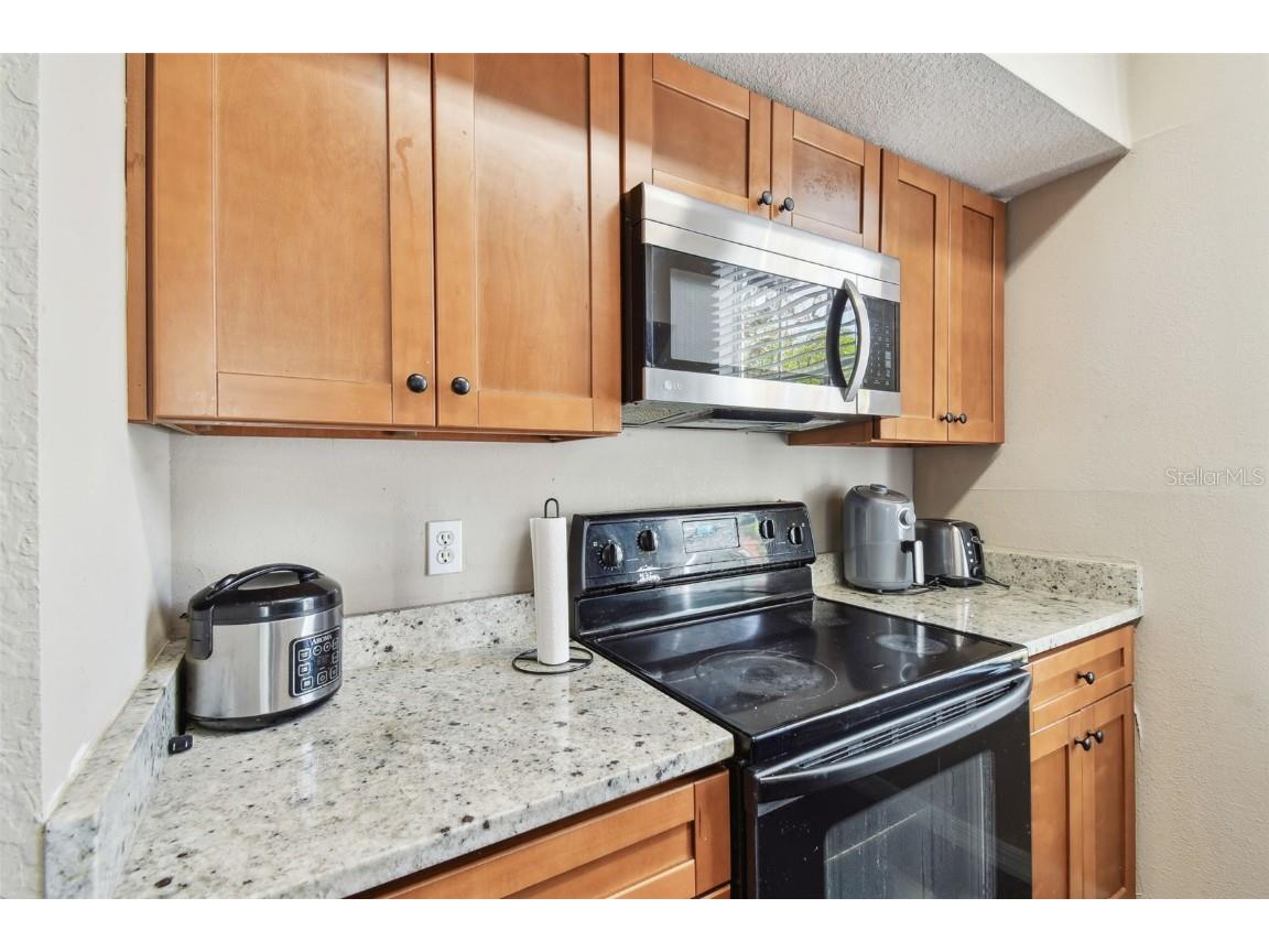 9740 Lake Chase Island Way #9740 Tampa FL 33626 TB8369478 image12