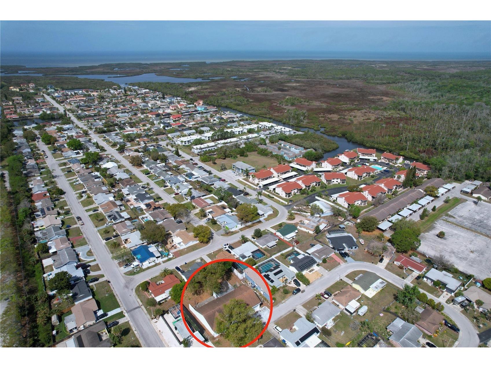 9741 Lamantin Drive Port Richey FL 34668 W7883926 image8