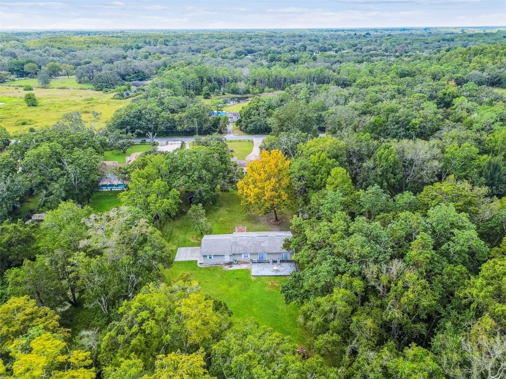 9741 Star Trail New Port Richey FL 34654 W7879215 image38