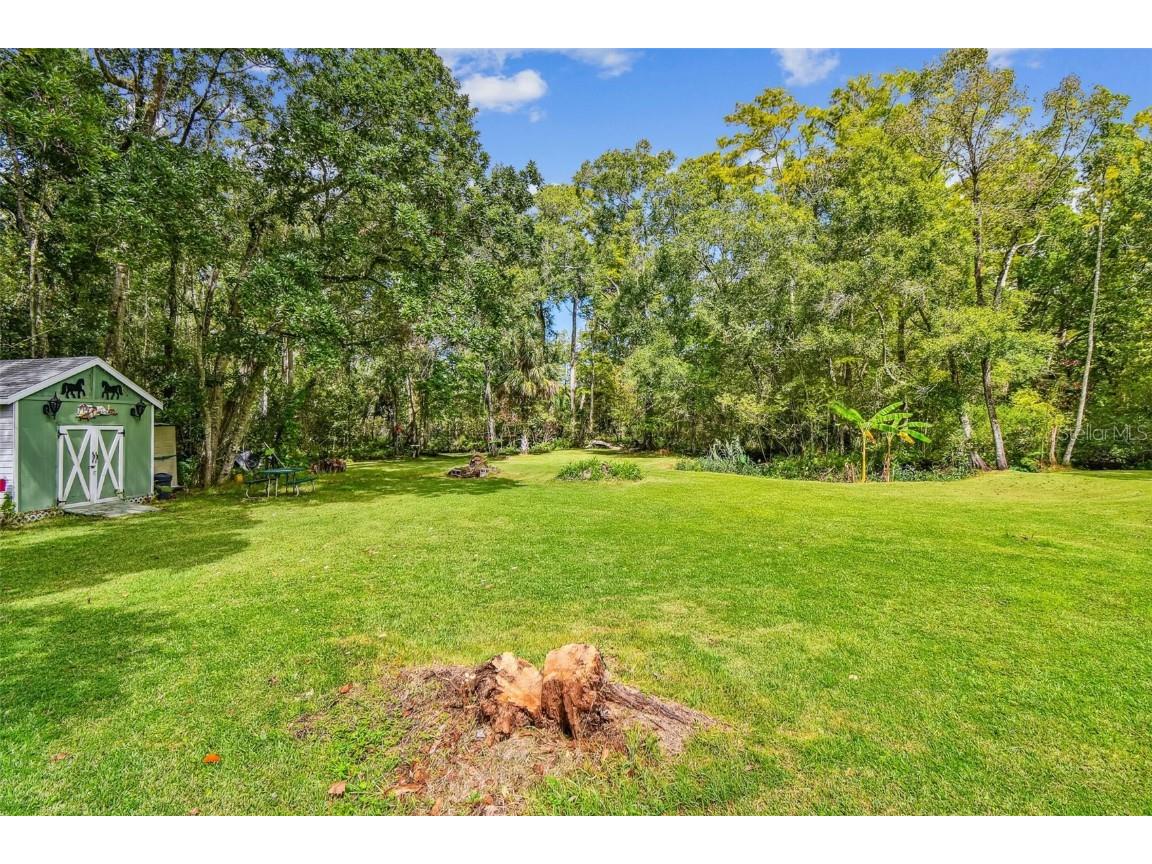 9741 Star Trail New Port Richey FL 34654 W7879215 image6