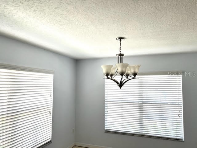 9741 Trumpet Vine Loop Trinity FL 34655 TB8514215 image10