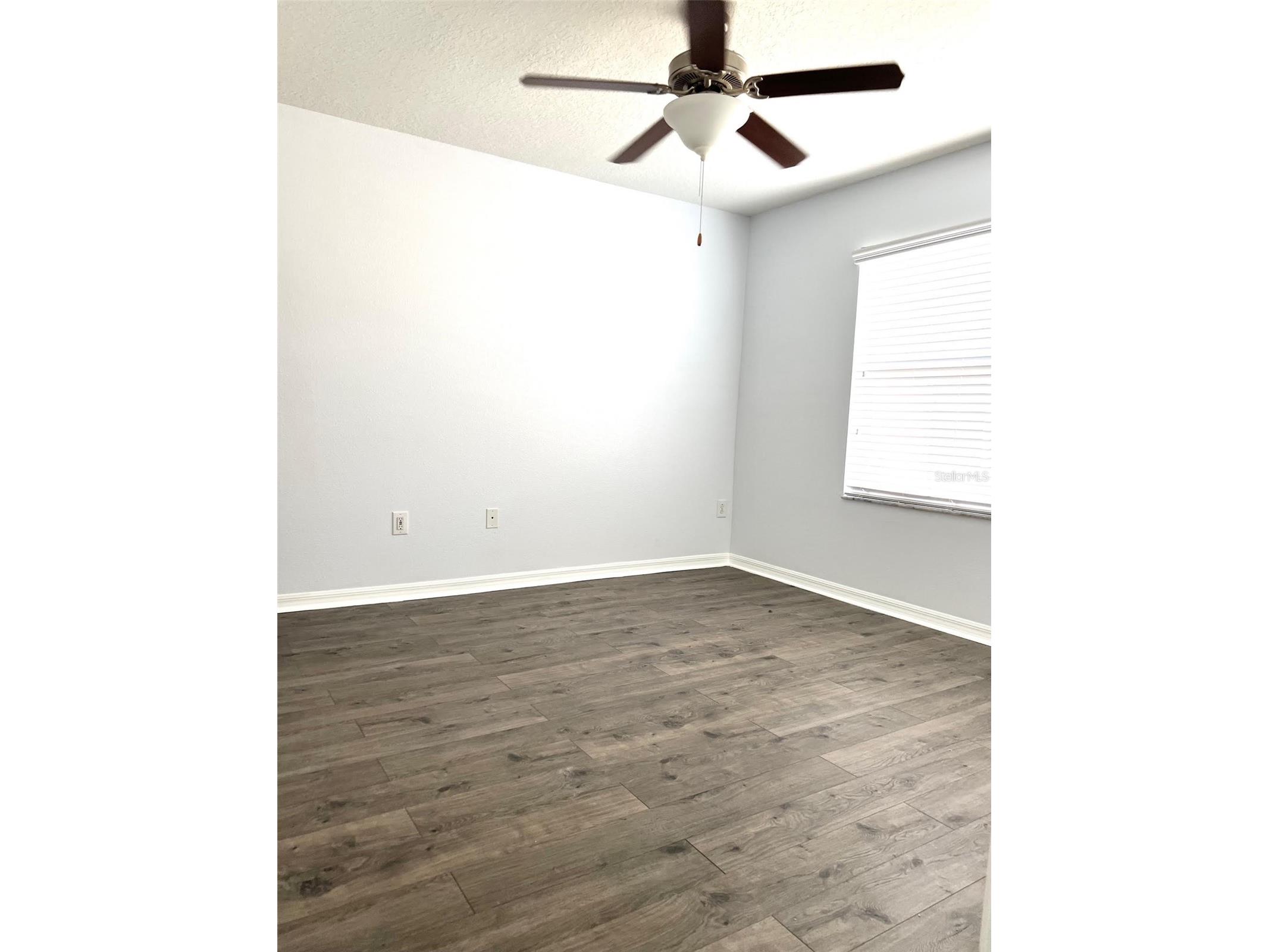 9741 Trumpet Vine Loop Trinity FL 34655 TB8514215 image18