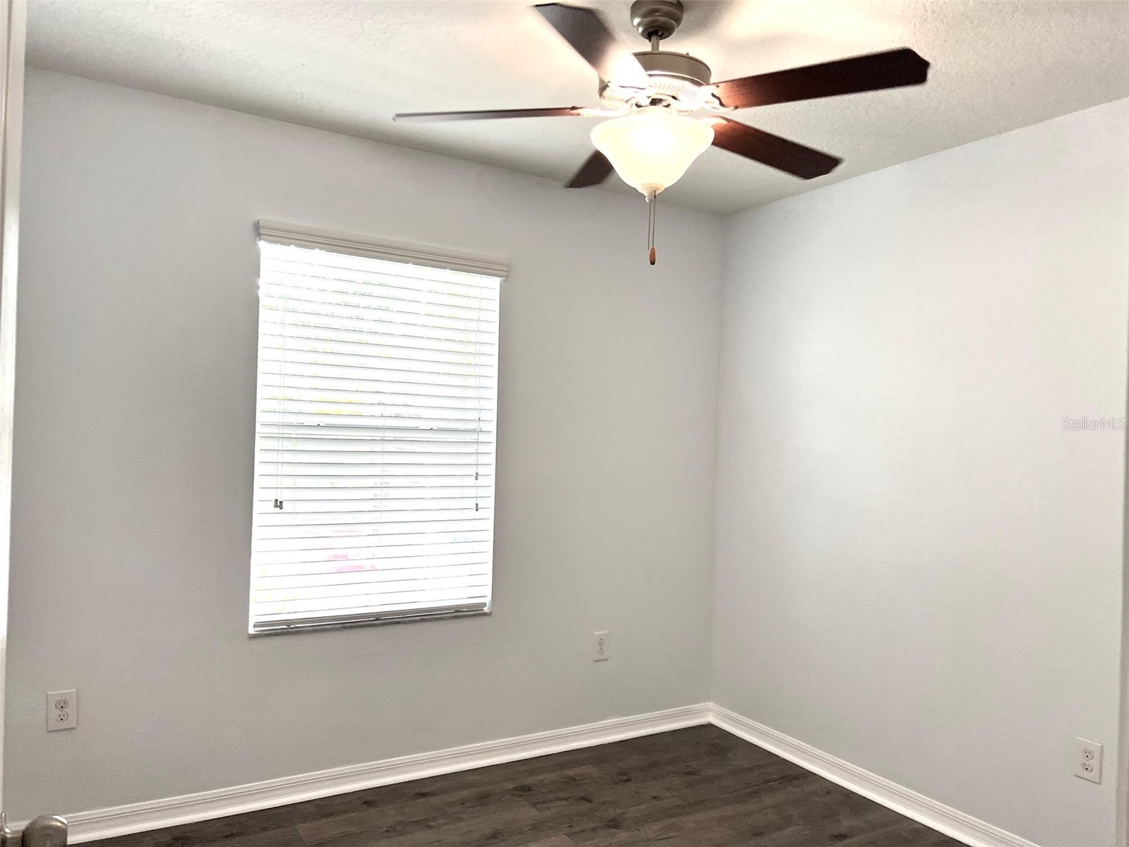9741 Trumpet Vine Loop Trinity FL 34655 TB8514215 image23