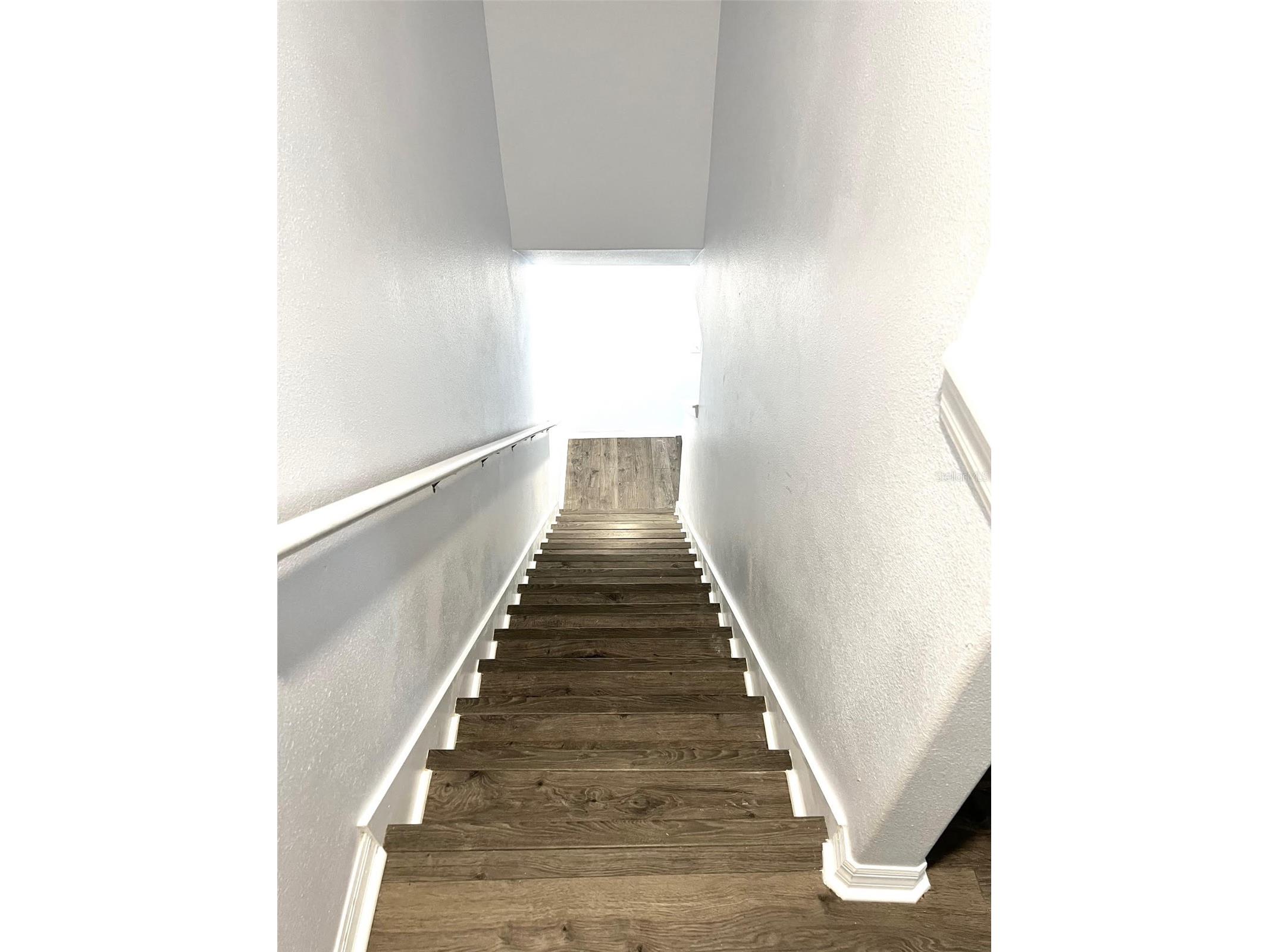 9741 Trumpet Vine Loop Trinity FL 34655 TB8514215 image25