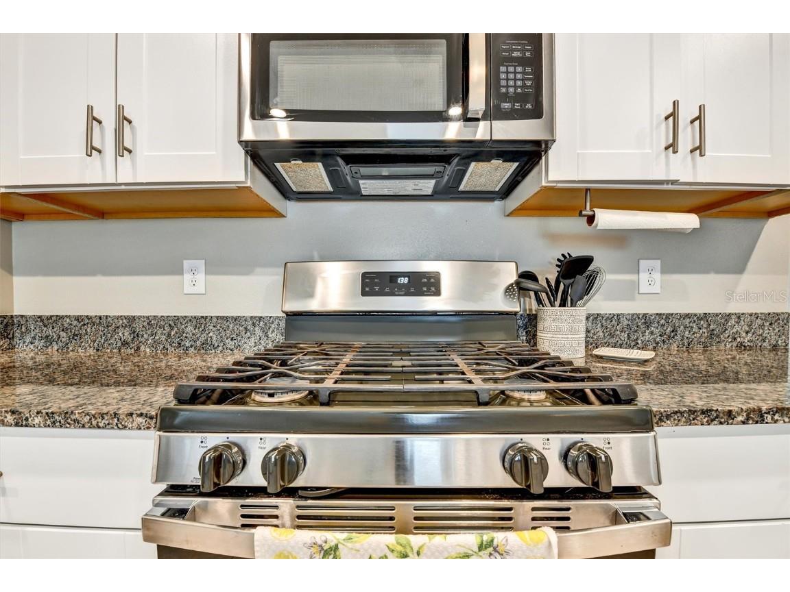 9742 Lemon Drop Loop Sun City Center FL 33573 TB8447330 image13